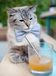 开云体育登录-金州算力VS巨人之掌，当勇士的数据之网被恩比德一掌拍碎