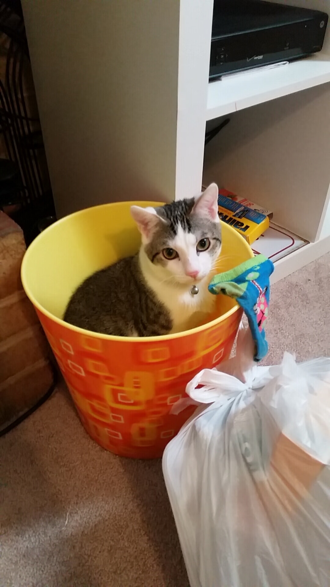 开云体育中国-时间之河交汇之夜，当西甲德比与克莱的瞬间重叠