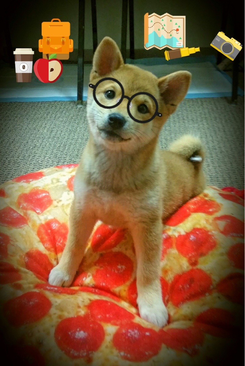 总决赛唯一主角,西亚卡姆一球定音,公牛王朝最后一舞被冰封