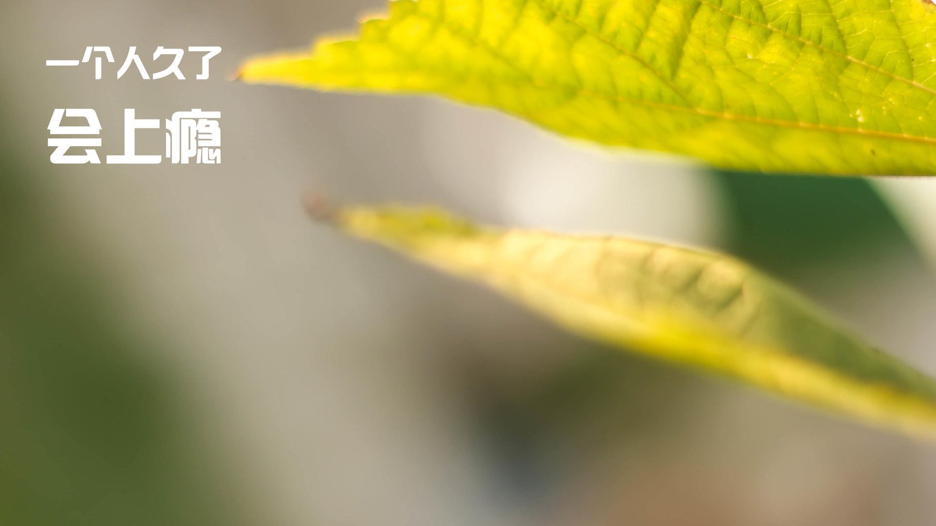 戈麦斯全程高能输出，波兰电竞队力克伊朗晋级世界赛