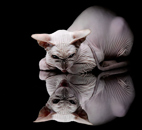 开云体育APP下载-NBA季后赛之夜，当无限收束在切特身上成为现实