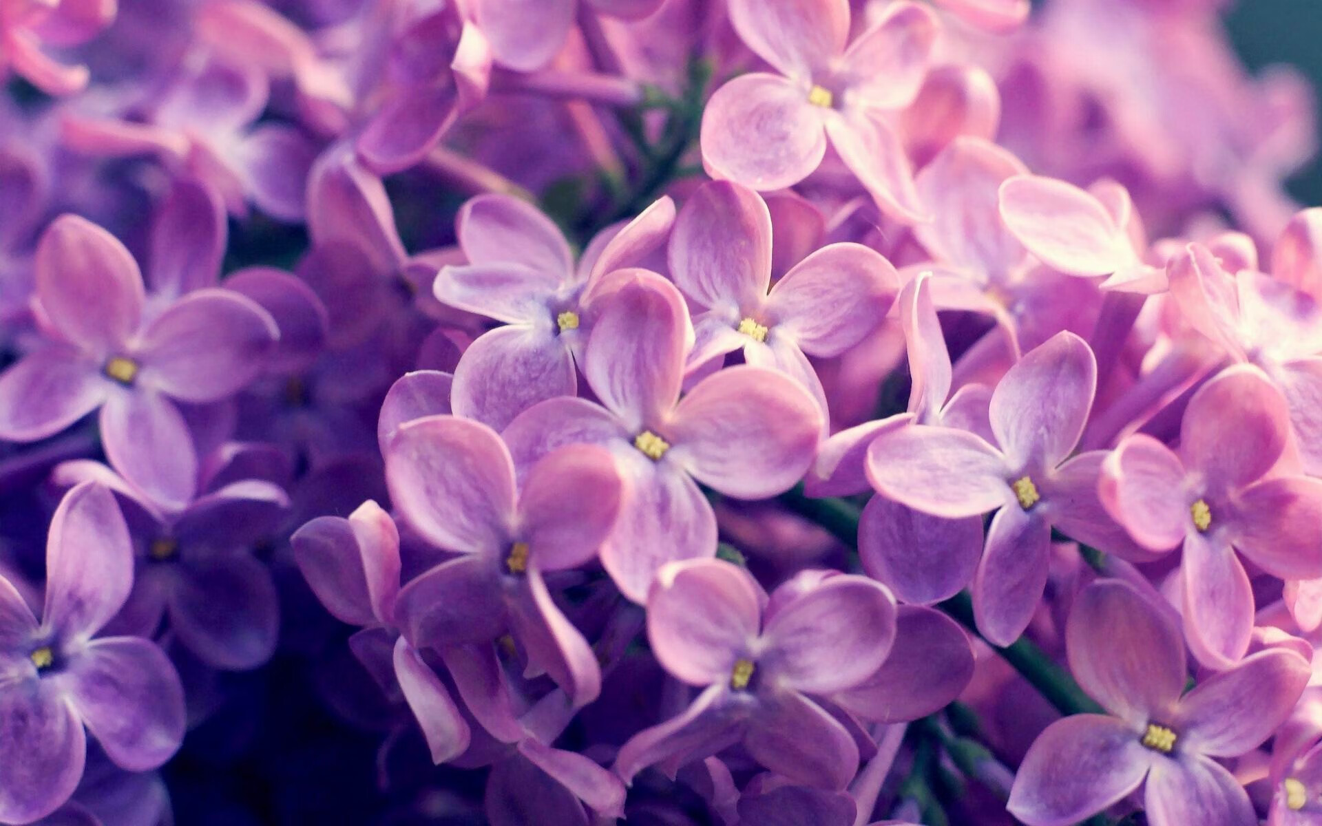 跨越时空的对决，深圳队用东方铁血强行终结快船，克莱50分高光沦为空砍