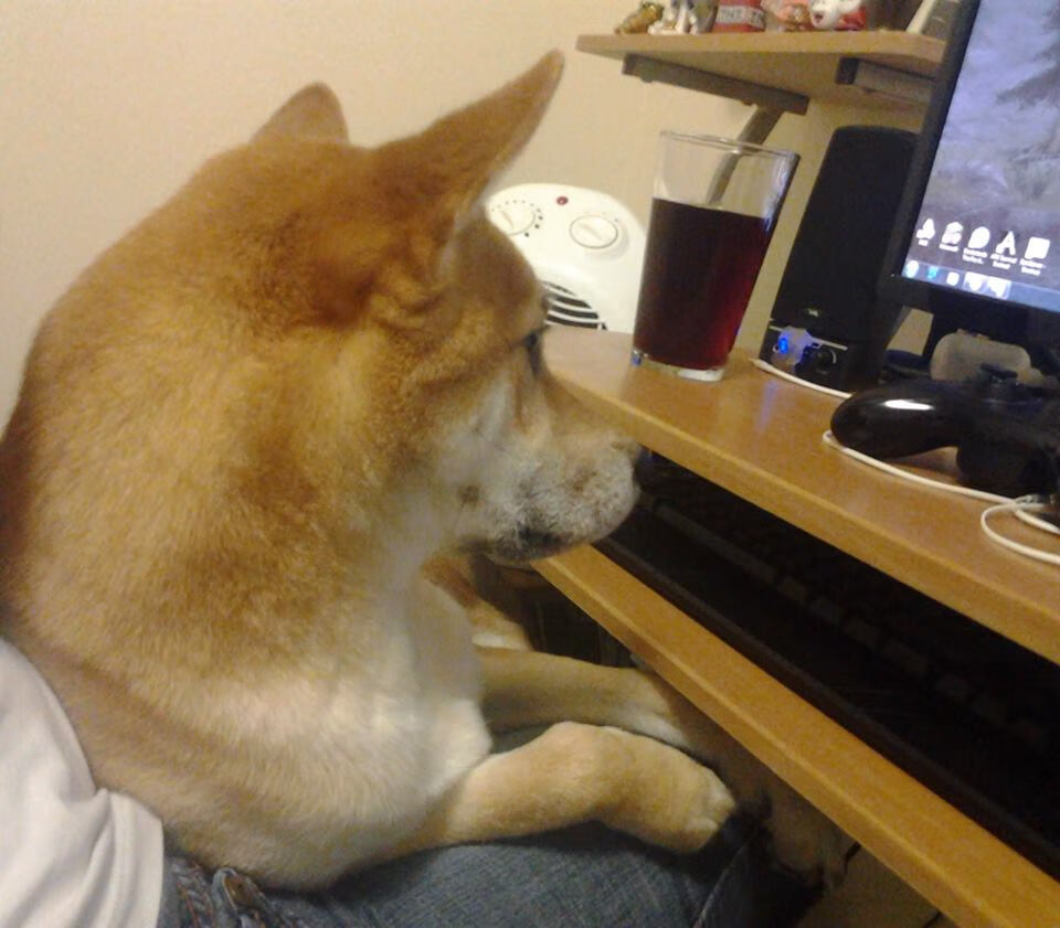 文班亚马挂帅上海队，芝加哥风暴前夕的篮球哲学