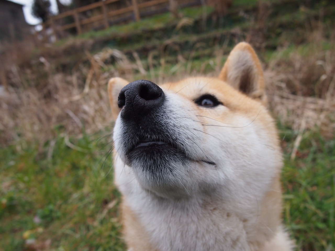 奥运关键战之夜，死神挥镰时，舞台越大他越强