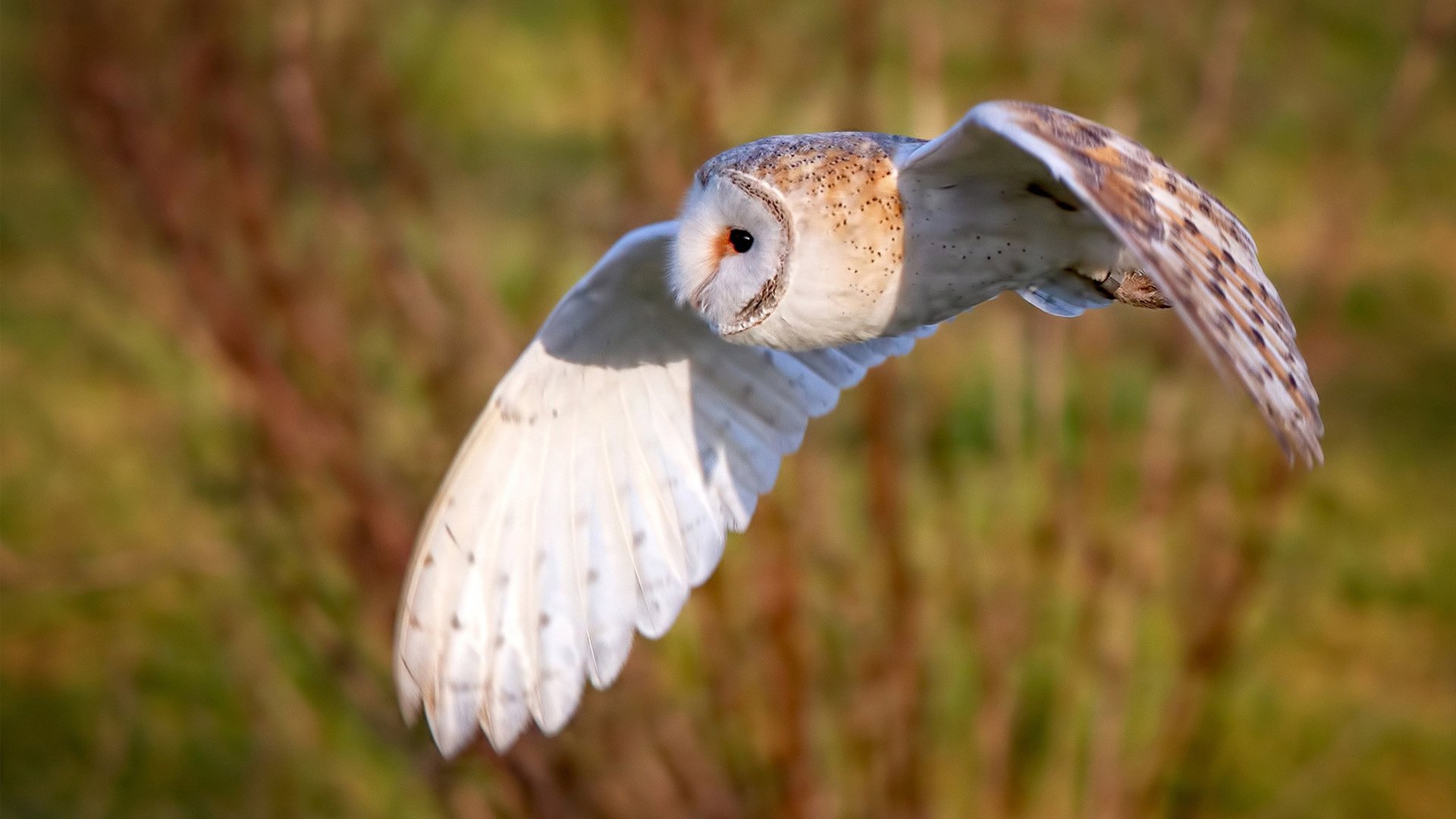 超级奇才防守囚笼锁死辽宁，保罗20+17诠释何为控场之神