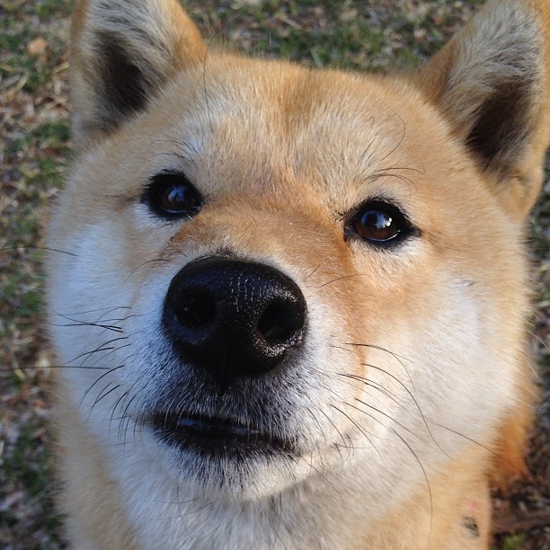 开云体育入口-从质疑风暴到致命绝唱，利拉德在波士顿的救赎三部曲