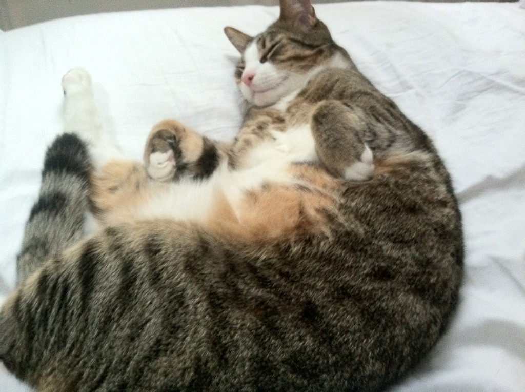 开云体育app-沙突抢七，一场没有球场的火力压制