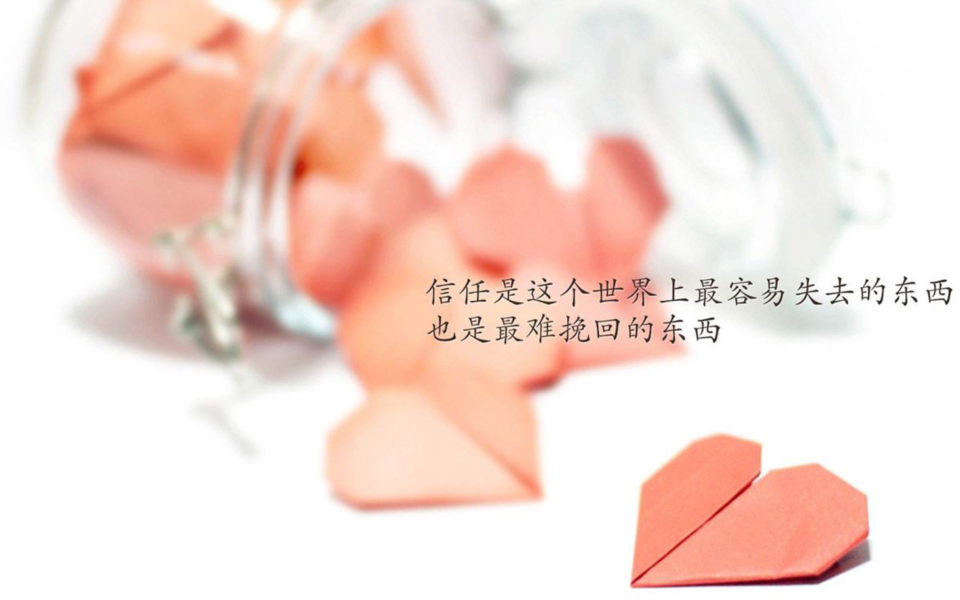 开云sport-新王诞生夜，爱德华兹逆天37分撕裂凯尔特人铁幕