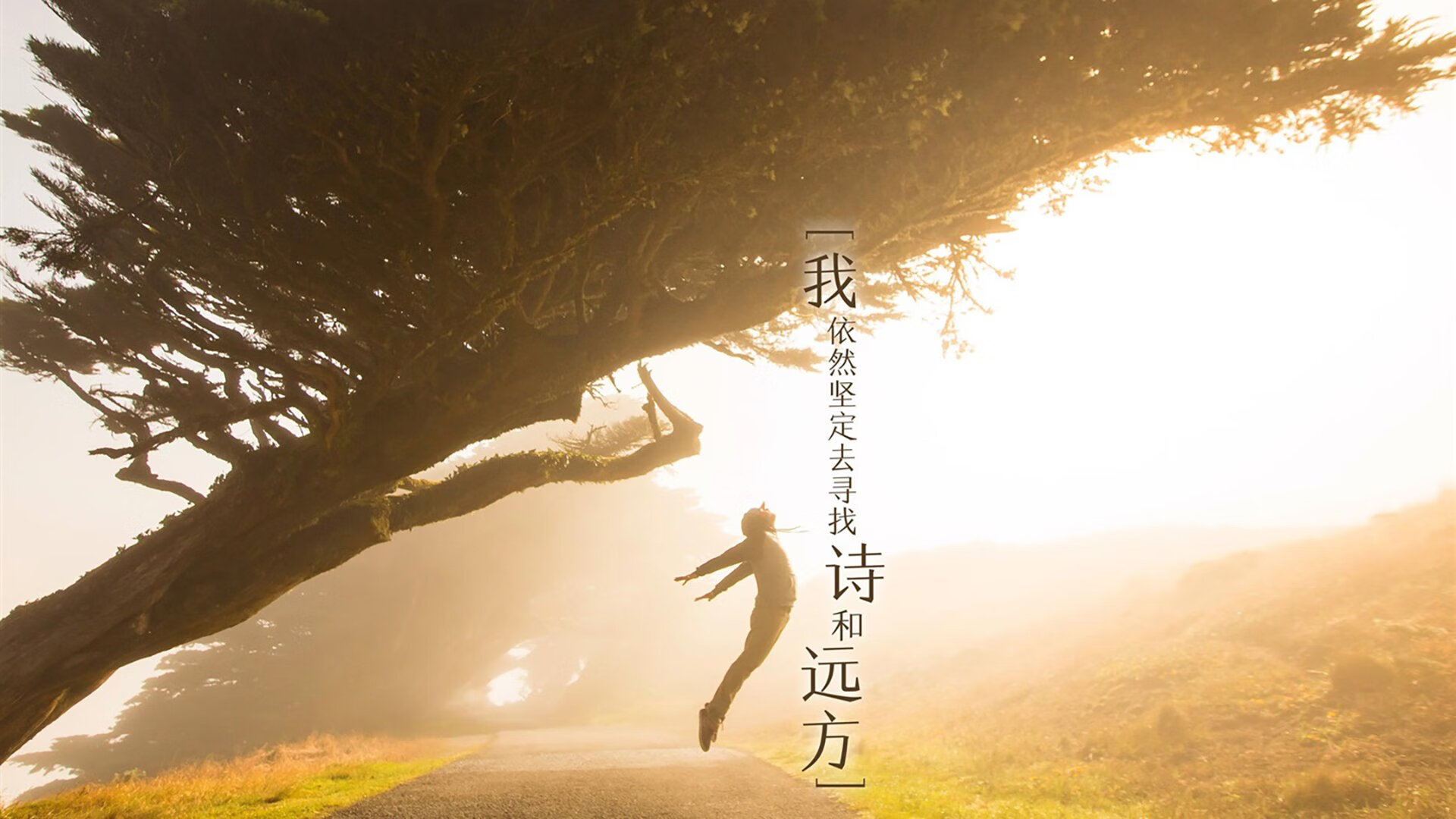 一个被重新定义的夜晚，当西班牙的传控哲学遇见久保建英的孤胆史诗
