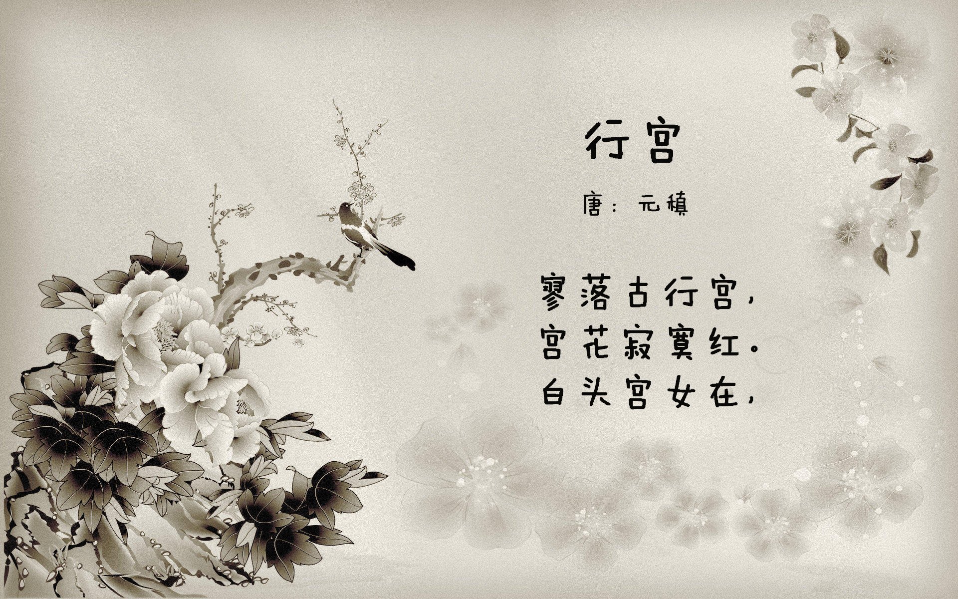 唯一的C罗,当传奇在2026世界杯F组强强对话中,跨越现实与幻想的边界